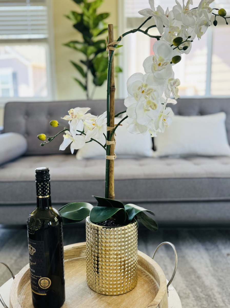 Staged Ready Collection A Photo