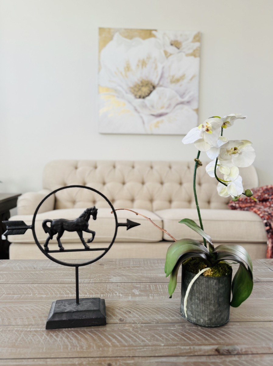 Staged Ready Collection B Photo
